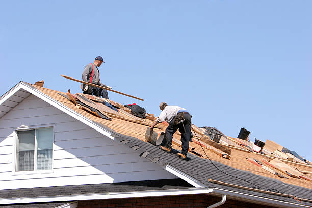 Best Roof Maintenance and Cleaning  in Eden Prairie, MN